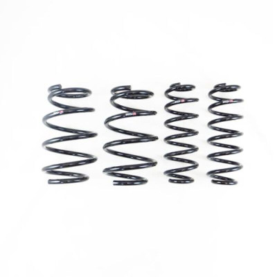 RS-R 2021+ Lexus NX350h FWD Down Sus Springs (Special Order/No Returns/Cancellations) - T539D User 1