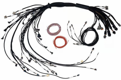 Haltech Nexus R5 LSx Non DBW Terminated Harness - HT-186206 User 1