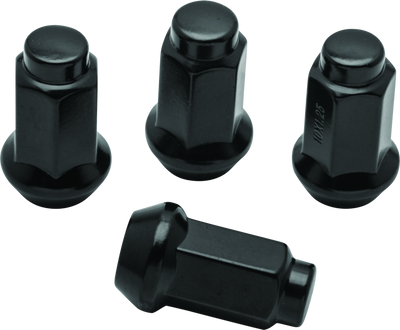 QuadBoss Lug Nuts 10x1.25 - 14mm-Od - Black - Box of 4 - 608930 Photo - Primary