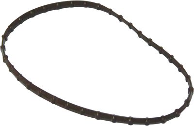 Twin Power 08-17 FLH FLT Models Fuel Pump Plate Seal Viton Replaces H-D 61402-08 - 046173 Photo - Primary