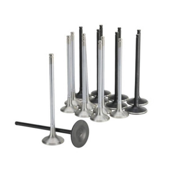 Skunk2 Honda K20C1 Alpha Series Inatke & Exhaust Valve Set (Standard Compression) - 310-05-2000