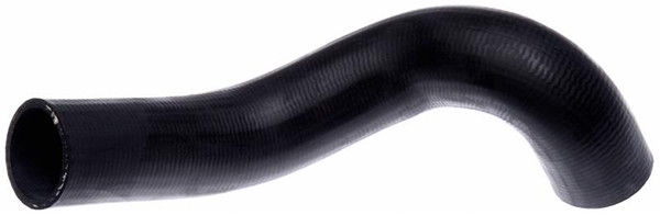 Gates 05-11 Dodge Dakota V-6 3.7L Lower Molded Coolant Hose - 23042