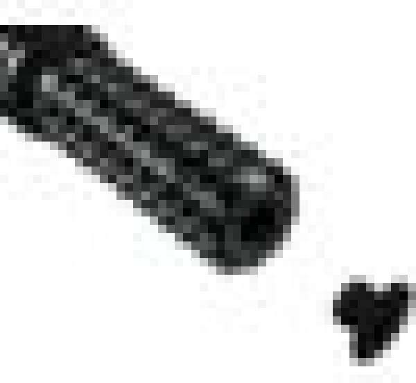 Vortex Racing Rearsets Replacement Foot Peg with End Plug- Black - RSP04AK