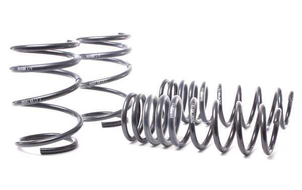 H&R 04-06 BMW 525i/530i/545i E60 Race Spring (w/o Self Leveling) - 50460-88