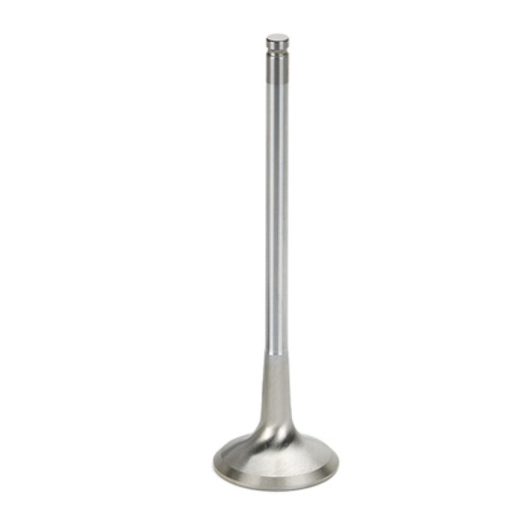 Supertech SB Chevy 1.600x.341x5.000in Chrome Undercut Exhaust Valve - Single (Drop Ship Only) - ST-27047