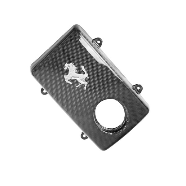 Fabspeed Carbon Fiber Coolant Tank Cover With Tabs and Cavallino - Ferrari F430