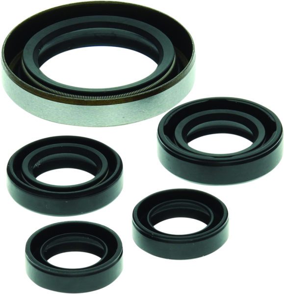 QuadBoss 06-07 Polaris Outlaw 500 Oil Seal Set - 564349