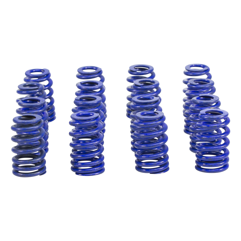COMP Cams GM 603/604 0.570in Lift 1.077/1.282 OD Beehive Hustler Valve Spring Kit - H604-16