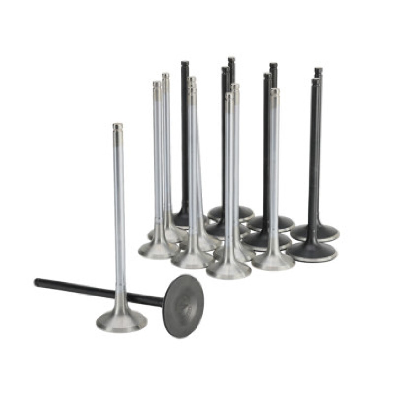 Skunk2 Honda K20C1 Alpha Series Inatke & Exhaust Valve Set (Standard Compression) - 310-05-2000