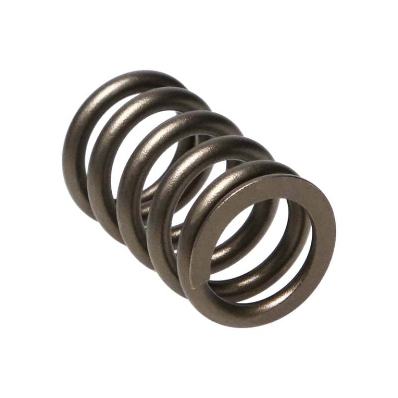 Manley Valve Spring, SPRING-NISSAN PATROL TB48 - 22155-24