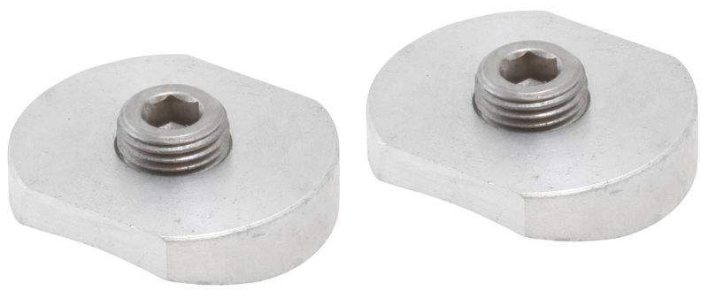 AEM 1/8in NPT Injector Bung Weld-In Fitting (2 Pack) - 2-777