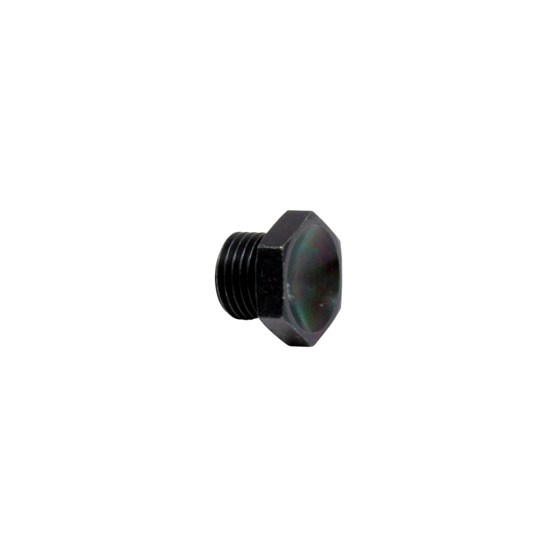 AEM High Volume Fuel Rail Port Plug - 25-604