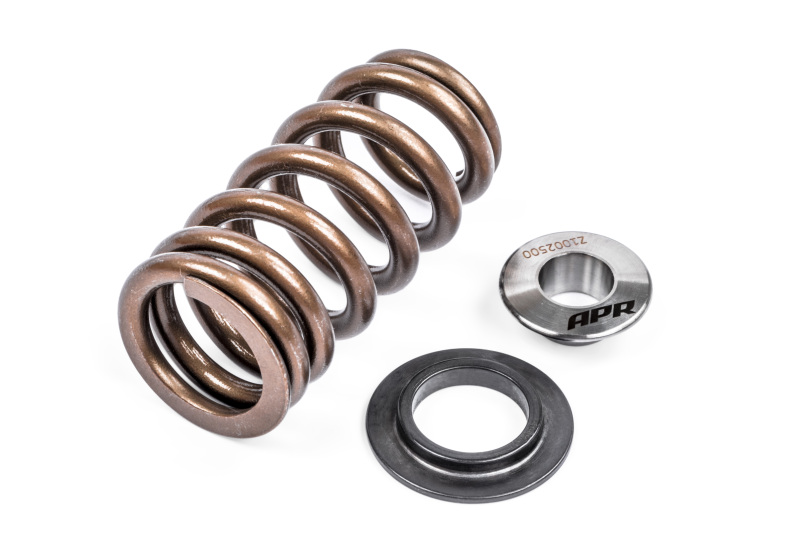 APR 12-16 Porsche Panamera Valve Spring - Single - MS100258