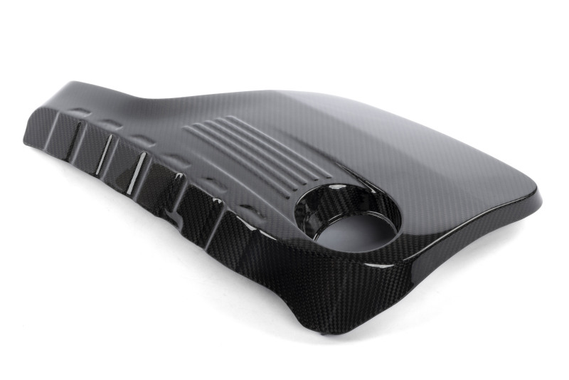 Dinan 15-18 BMW M3 Carbon Engine Cover - D590-0006