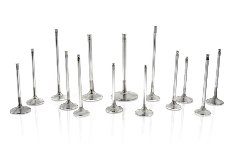 Ferrea Chevy SB 1.6in 11/32 5.300in 0.25in 14 Deg S-Flo Competition Plus Exhaust Valve - Set of 8 - F1149PQ