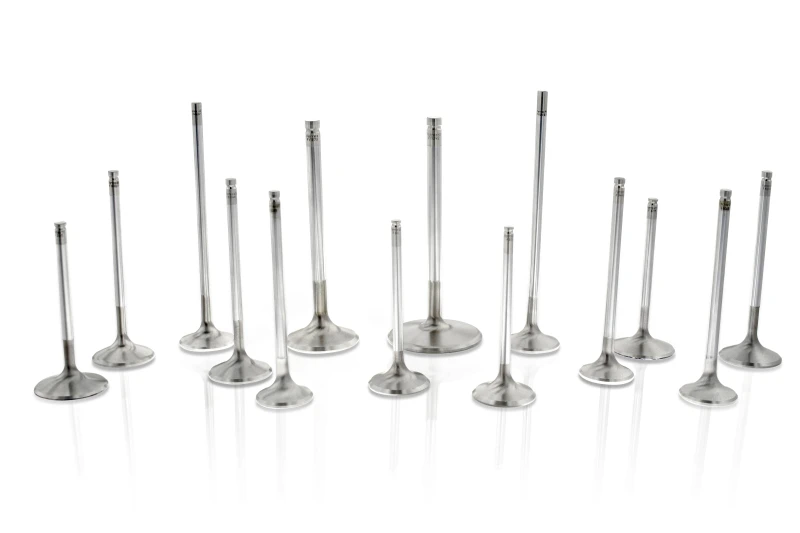 Ferrea 5/16 / 8mm .500in ID Viton Hi-Temp Exhaust/Intake Valve Stem Seal - Set of 16 - VS1021