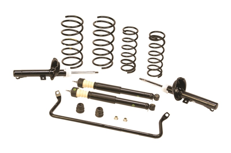 Ford Racing 2000-2005 Focus Suspension Kit - M-3000-ZX3