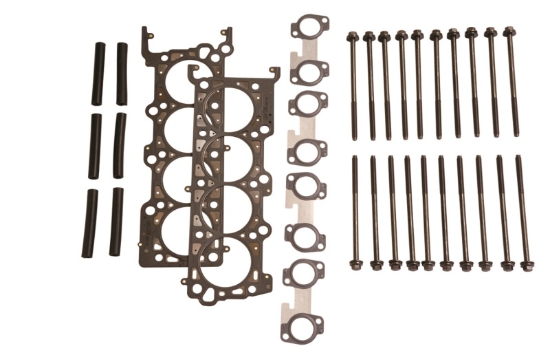 Ford Racing 4.6L 2V SOHC Head Changing Kit - M-6067-D46