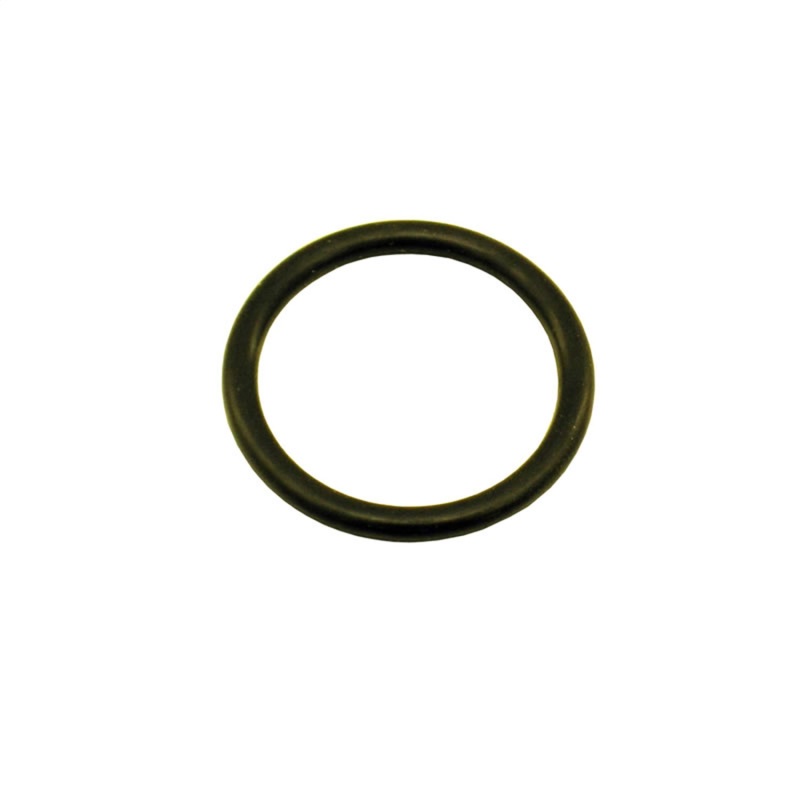 Nitrous Express 5/8 O-Ring for Motorcycle Bottle Valve (Fits 2lb Bottles and Smaller) - 11027-1
