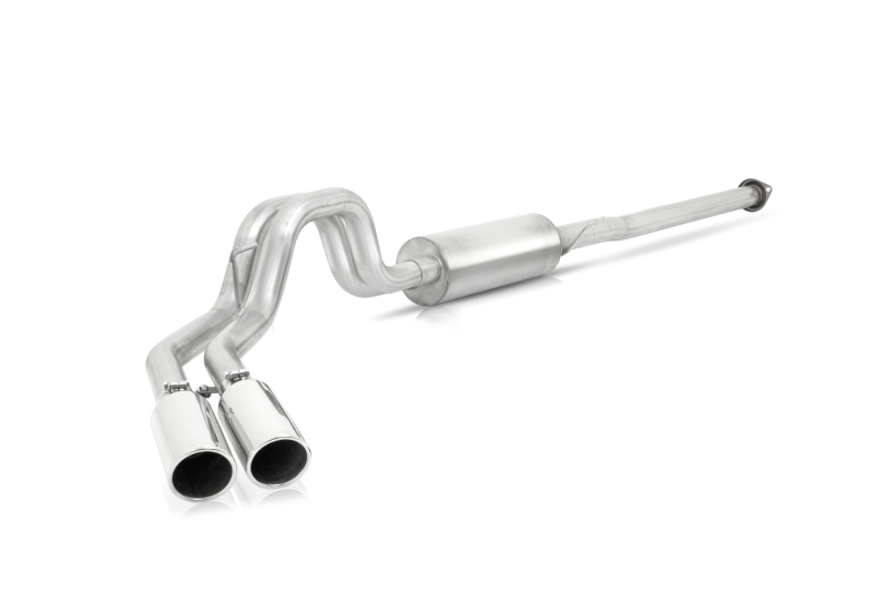 Gibson 15-19 Ford F-150 King Ranch 5.0L 3in/2.5in Cat-Back Dual Sport Exhaust - Stainless - 69221