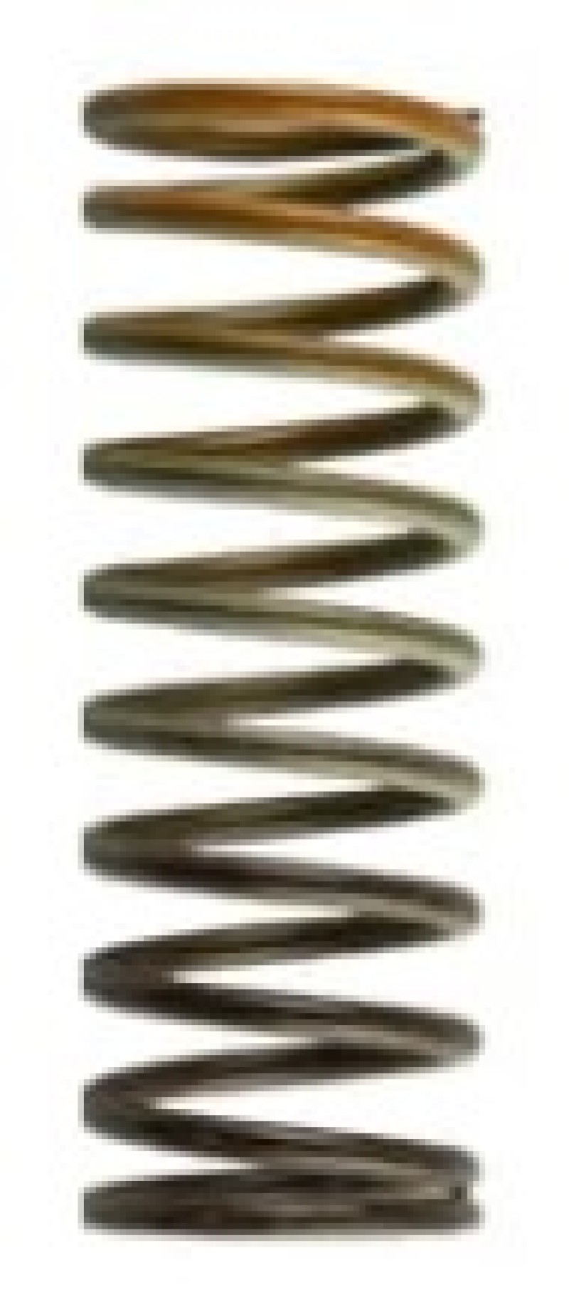 Turbosmart WG 38/40/45 HP 10 PSI Inner Spring Brown / Orange - TS-0505-2012