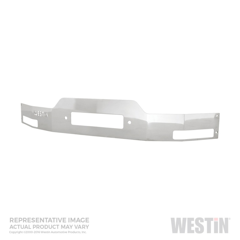 Westin 2009-2014 Ford F-150 MAX Winch Tray Face Plate - SS - 46-70020