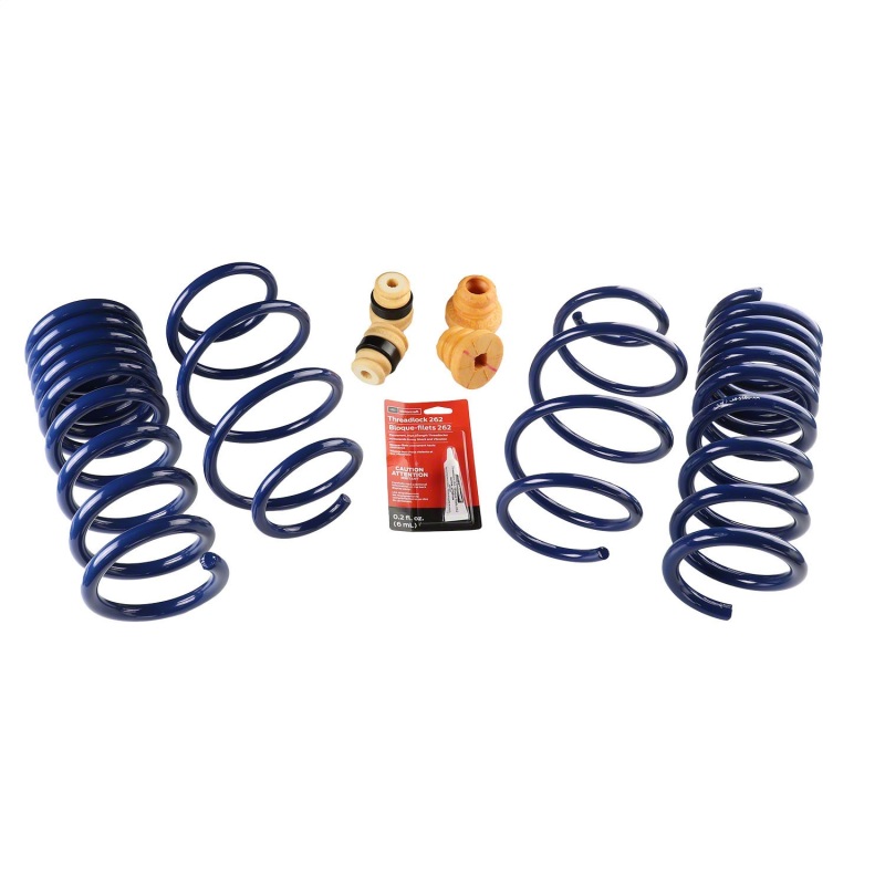 Ford Racing 15-19 Mustang (w/o MagneRide) Street Lowering Spring Kit - M-5300-XA