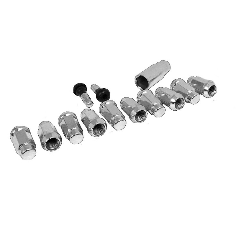 Race Star 14mmx1.50 Acorn Closed End Deluxe Lug Kit - 10 PK - 602-2428-10