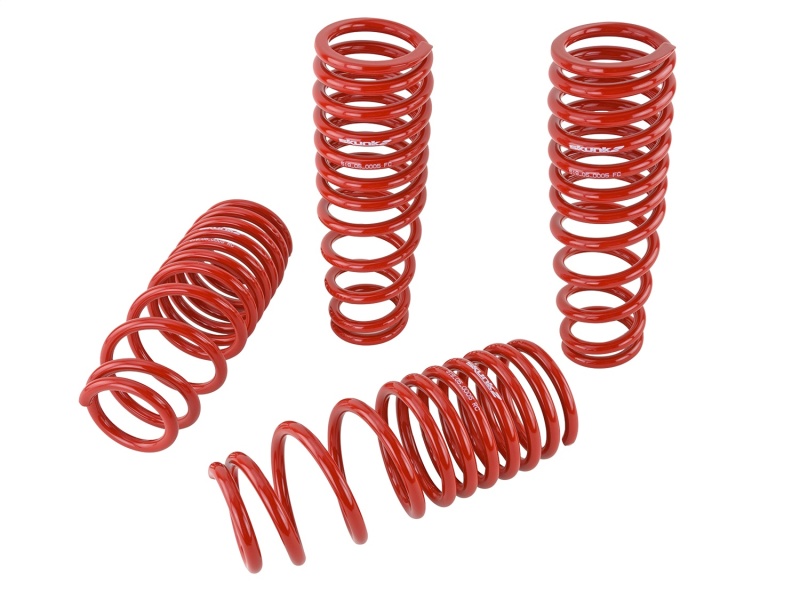 Skunk2 94-01 Acura Integra Lowering Springs (2.50in - 2.25in.) (Set of 4) - 519-05-1560