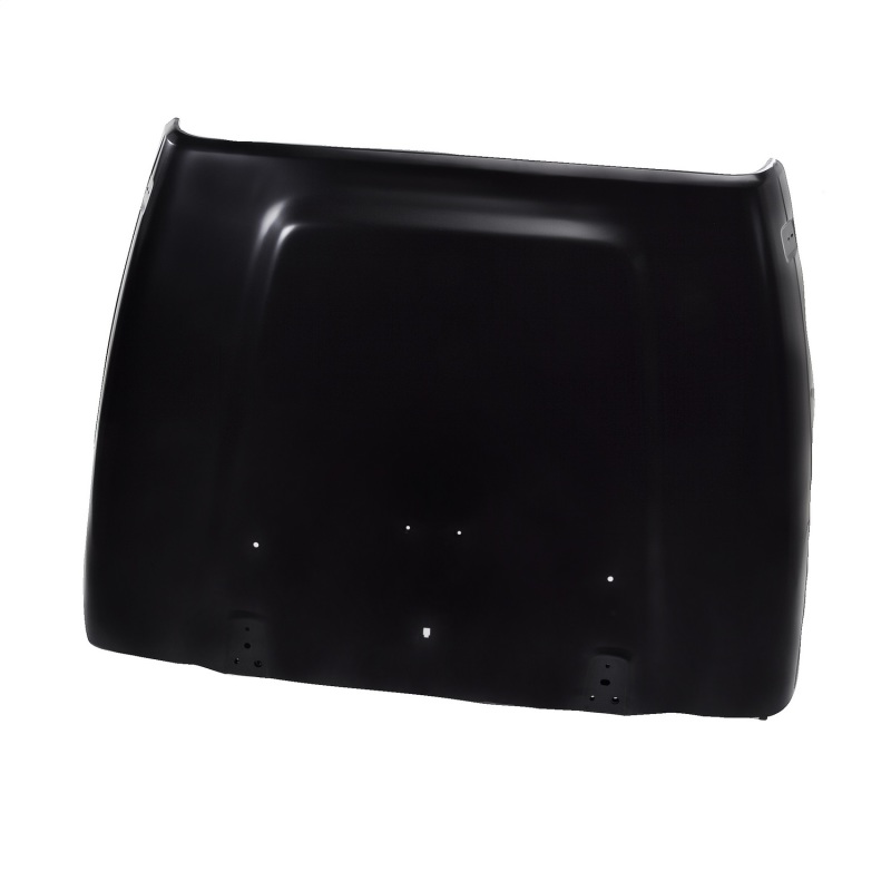 Omix Hood- 00-06 Jeep Wrangler - 12003.08