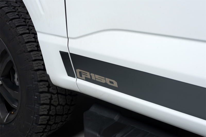 Putco 2021 Ford F-150 Reg Cab 8ft Long Box Ford Licensed Blk Platinum Rocker Panels (4.25in 10pc) - 9751470BPFD