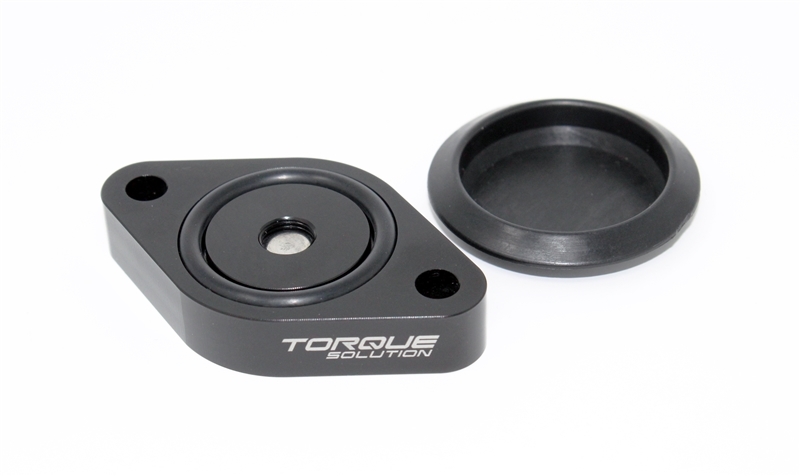 Torque Solution Sound Symposer Delete 2013+ Ford Focus ST - TS-ST-511
