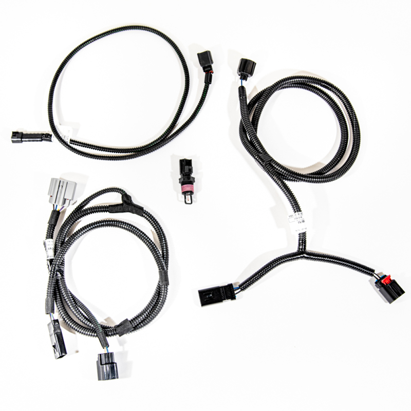 VMP Performance 11-14 Coyote 5.0L SC PnP Harness Kit (MAF IAT) - VMP-SUP067-I