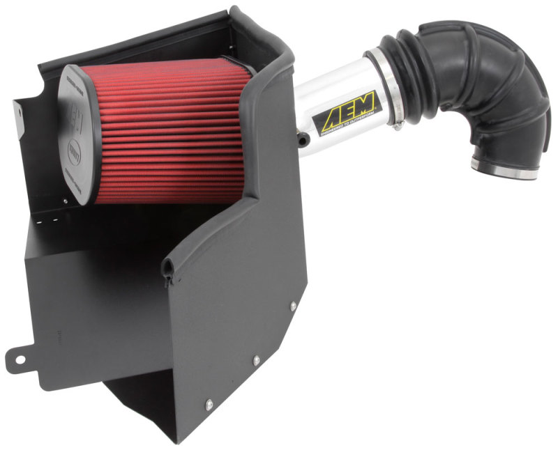 AEM 13-14 Dodge Ram 1500 5.7L V8 Brute Force Cold Air Intake - 21-8228DP