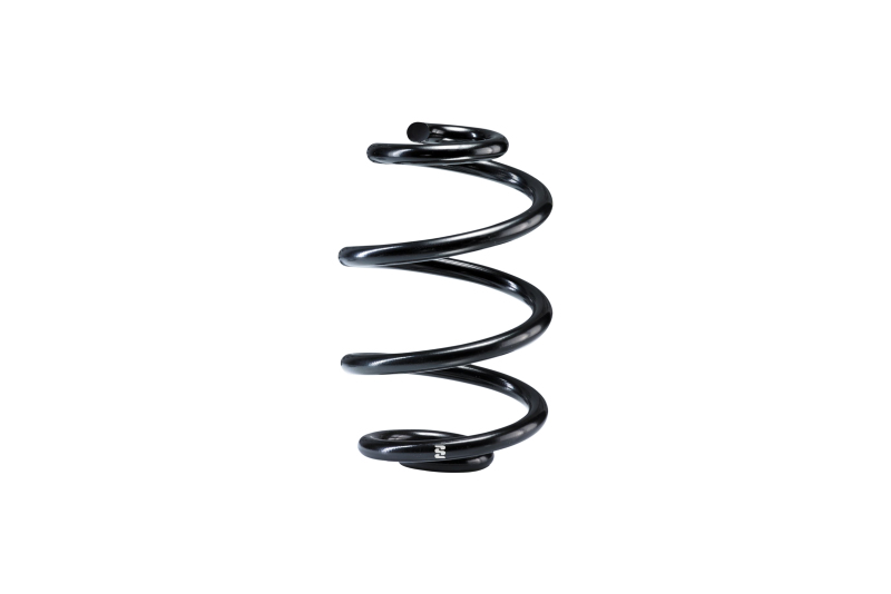Eibach 04-10 BMW X3 RWD / xDrive E83 Single Rear Spring - R10010