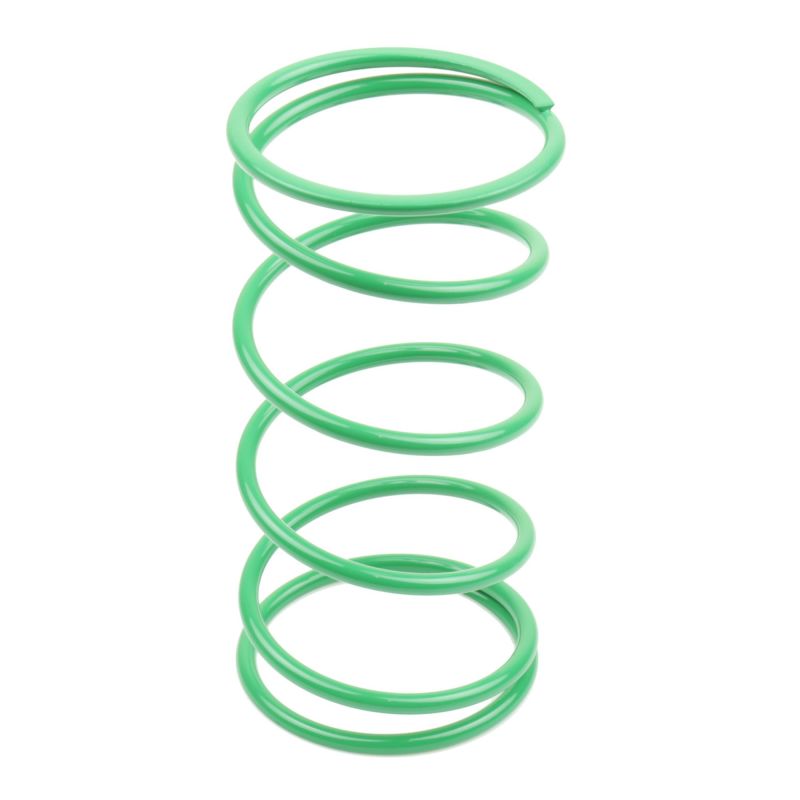 Athena BSV DIO GP 50 25Kg Green Contrast Spring (Bore 50mm) - 070496