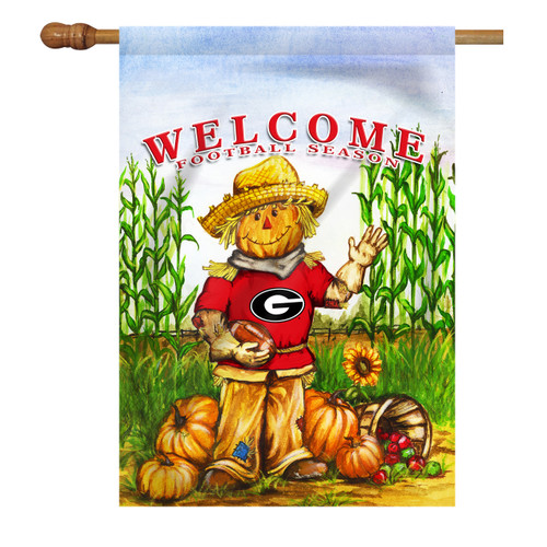 Georgia Scarecrow House Flag