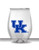 Kentucky 16 oz Stemless Plastic Cup