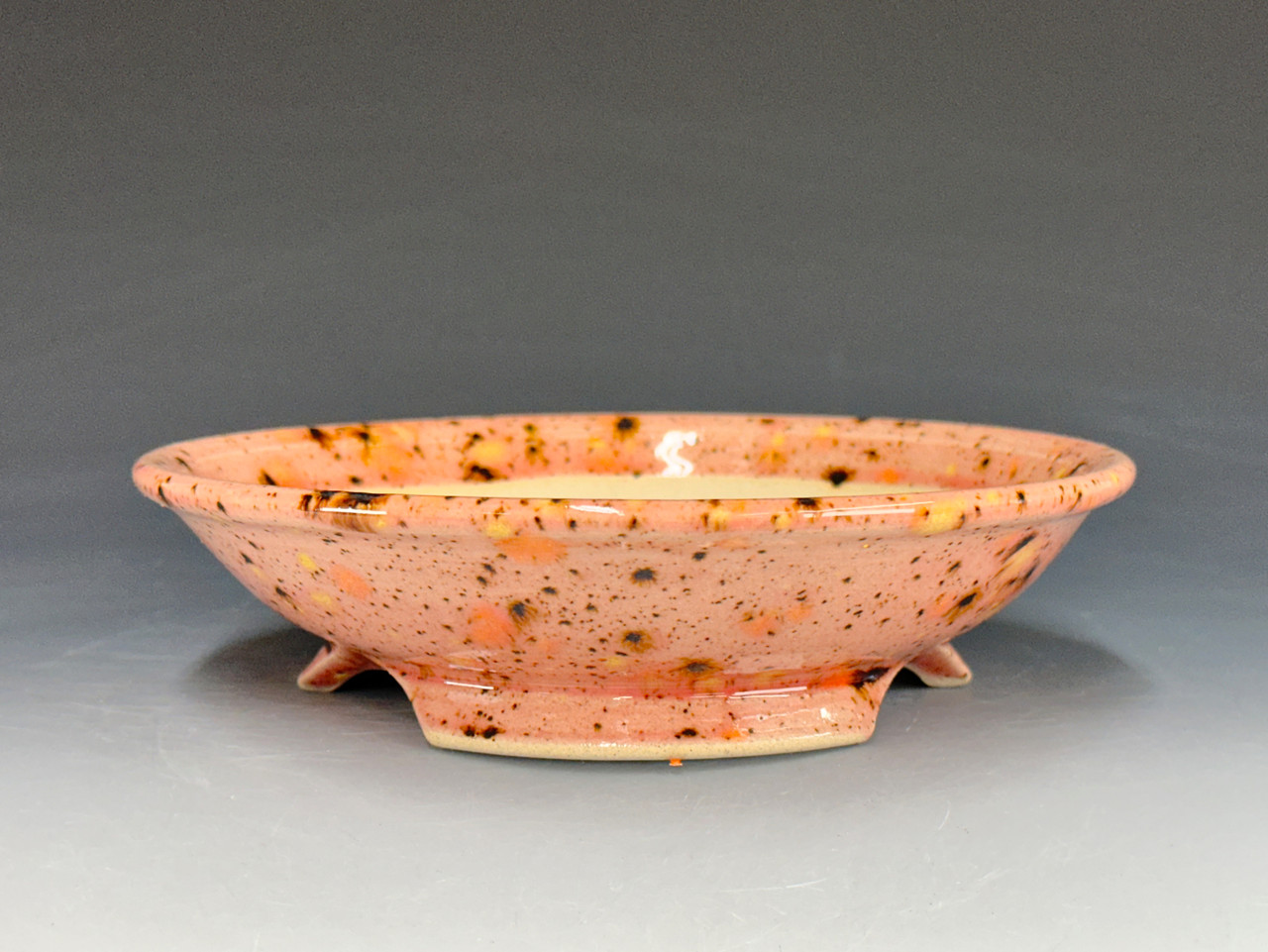 Bonsai Pot, Textured, 7 1/2