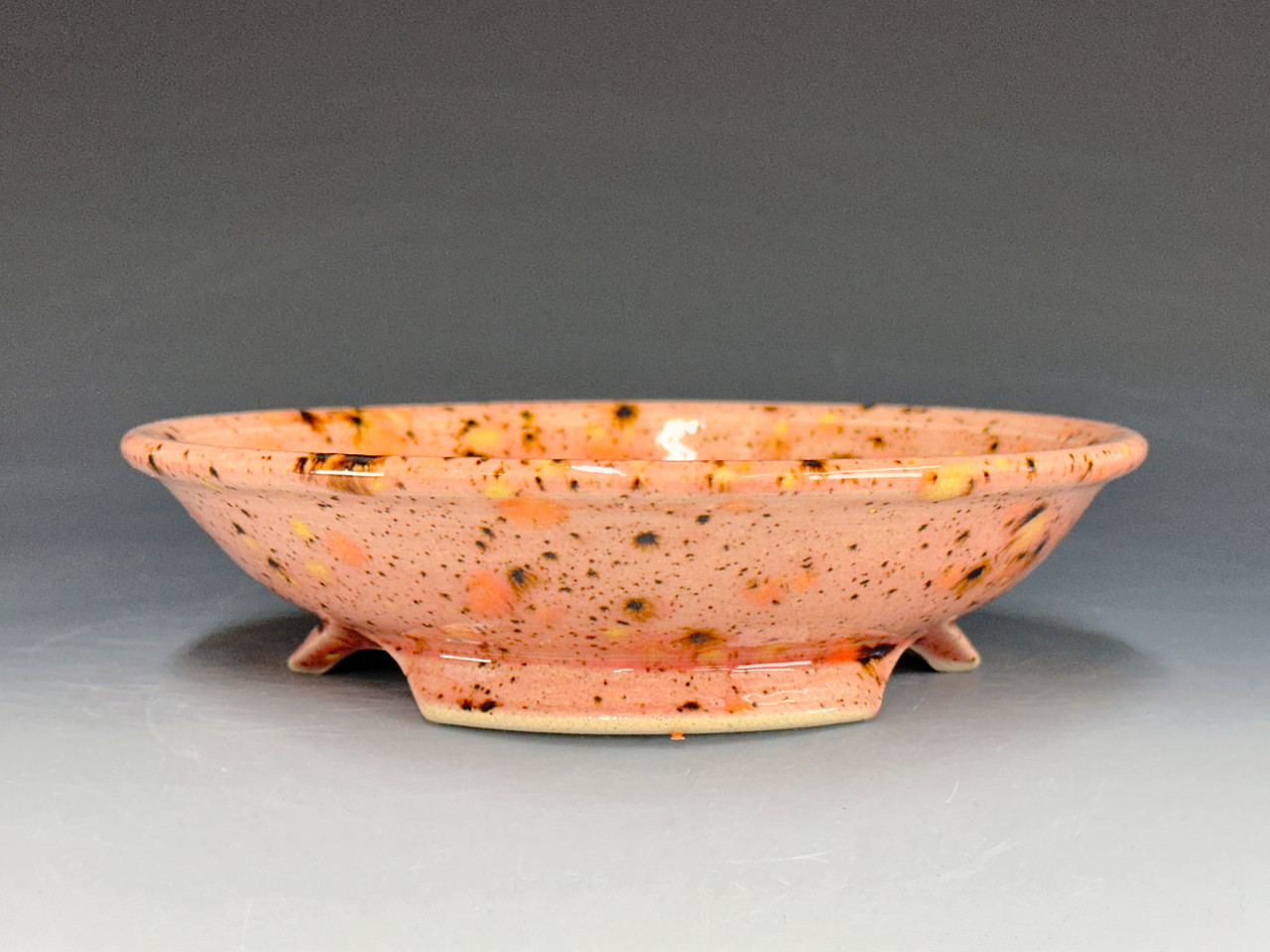 Bonsai Pot, Textured, 7 1/2
