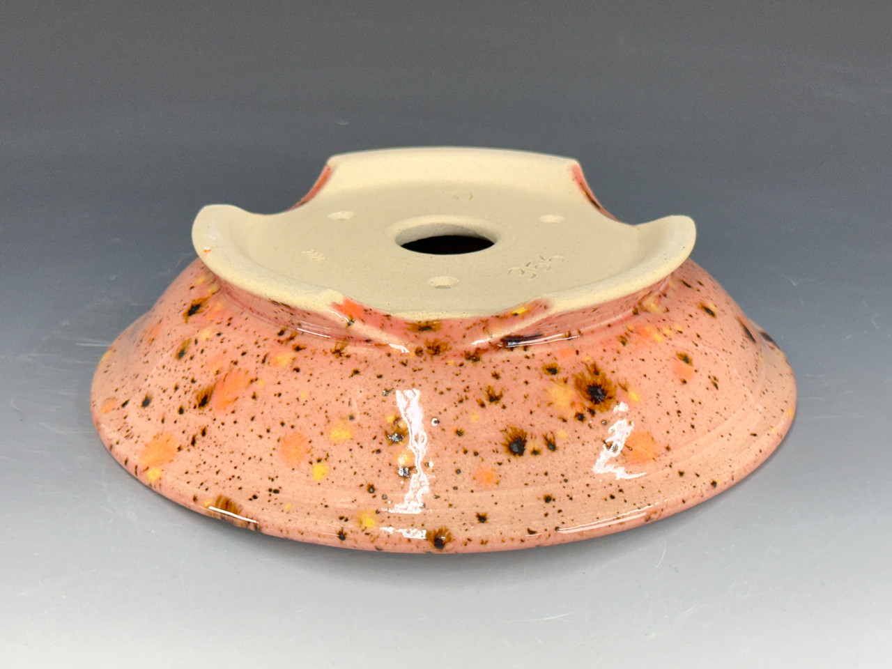Bonsai Pot, Textured, 7 1/2