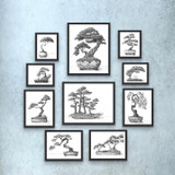 The Bonsai Garden, Heather Musingo, Limited Edition Signed and Numbered Prints The Bonsai Garden, Heather Musingo, Limited Edition Signed and Numbered Prints