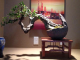 Customer Bonsai in Iker Pots Customer Bonsai in Iker Pots