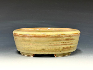 Bonsai Pot,  5 7/8" dia 24517