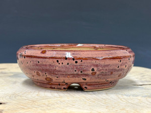 Bonsai Pot,  5 1/2" dia 26065