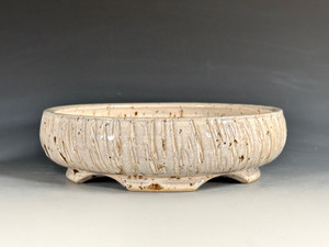 Bonsai Pot, textured,  8" 25192