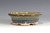 Bonsai Pot,  5 1/4" dia 22776