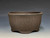 Bonsai Pot, Textured, Unglazed Semi Cascade, 6 1/4" 26163