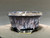 Bonsai Pot, 6 1/2" dia 26032