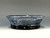 Bonsai Pot, 8 3/8” 24510